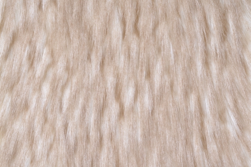 Russian Wolf Beige/Ivory